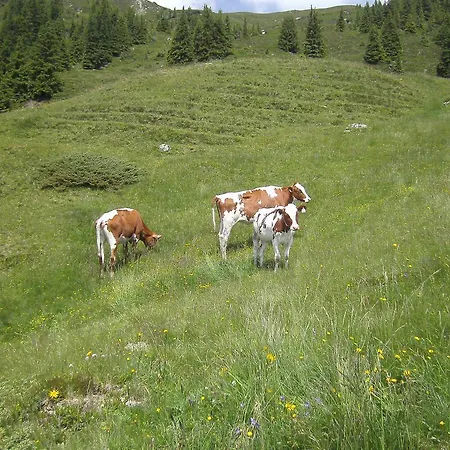 Fischerhof Ferienhaus